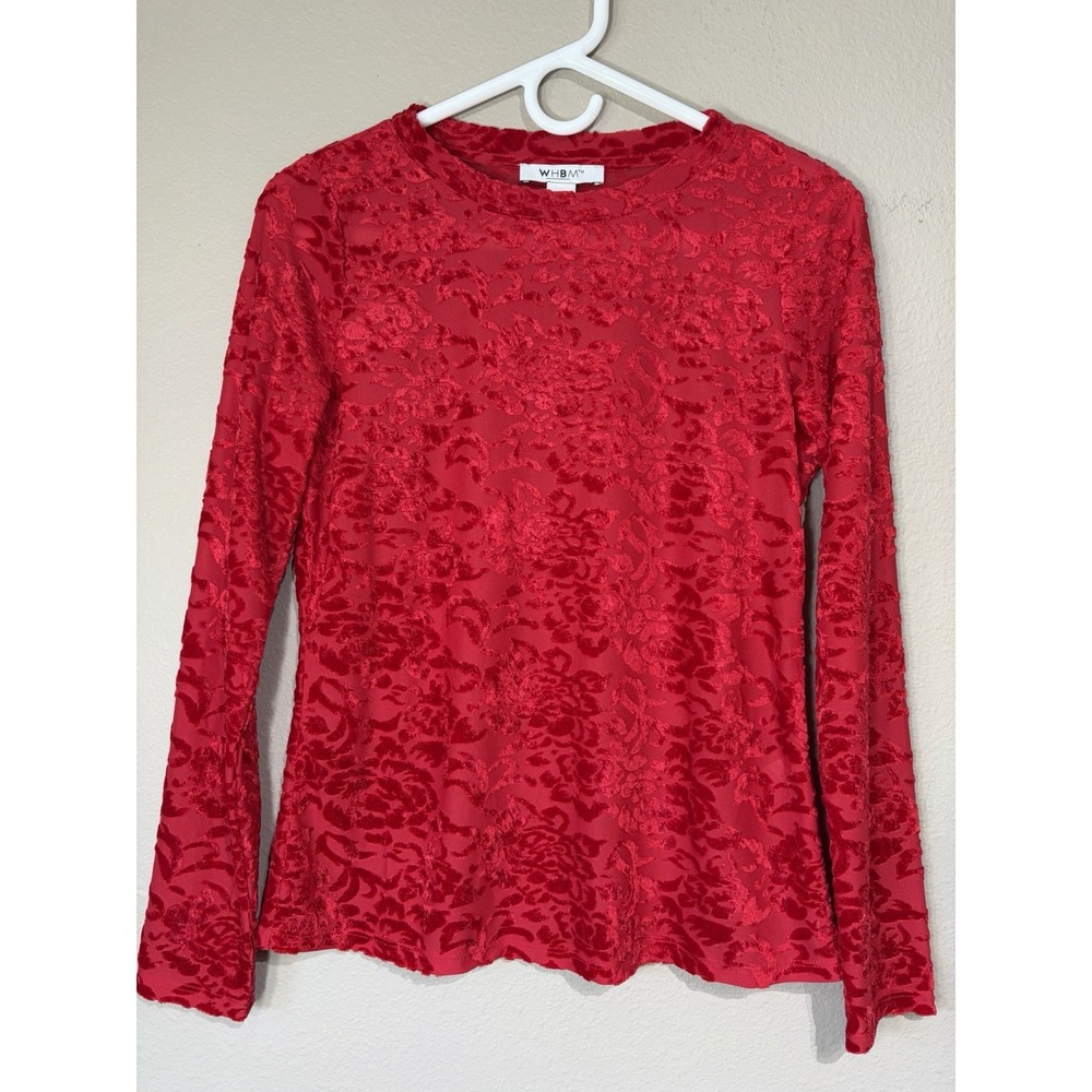 White House Black Market Velvet Burnout Floral Long Sleeve Top XS Red Whimsigoth